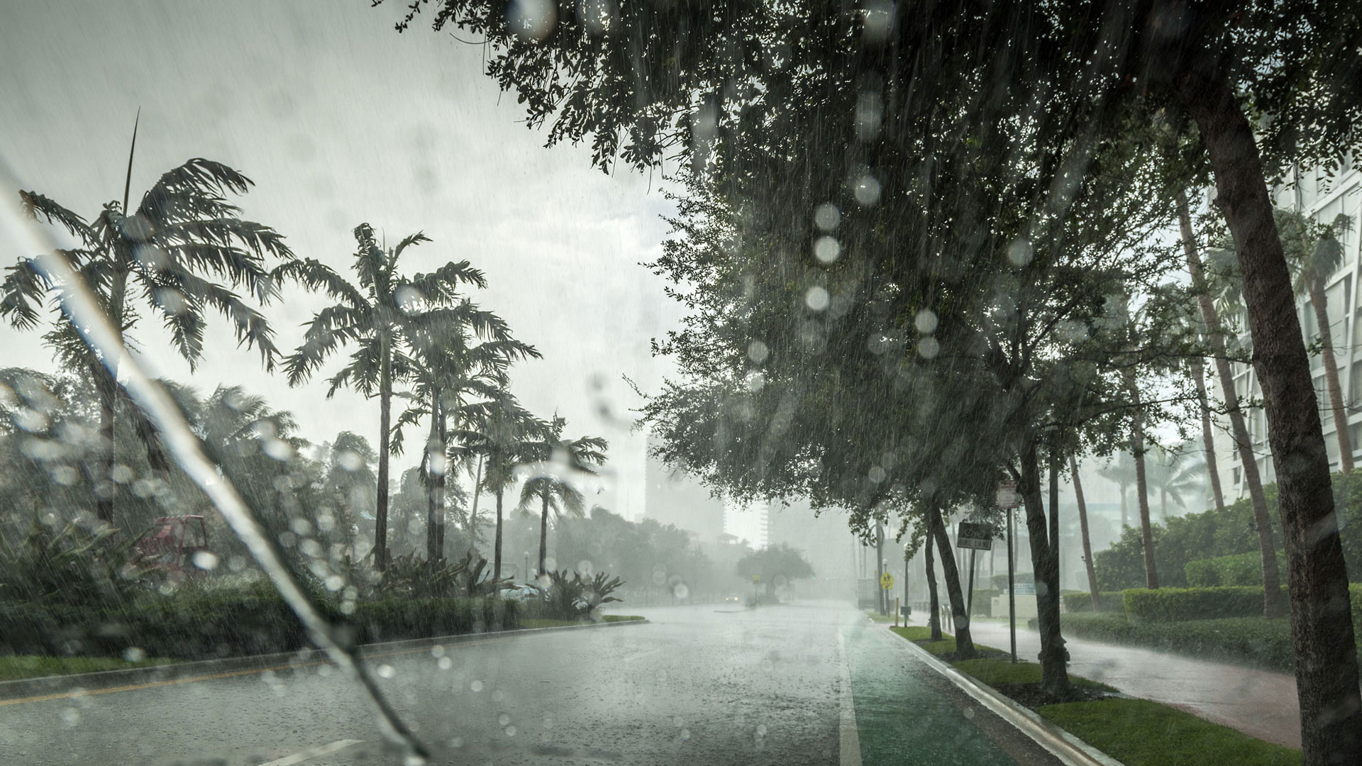 Estrada asfaltada com árvores e outras plantas em volta. Chove no momento e gotas de água estão na câmera que registrou a fotografia.