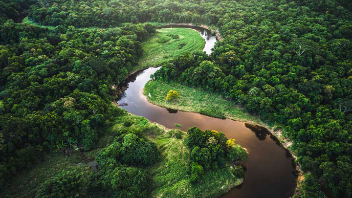 Região florestal com rio formando um curso em S.