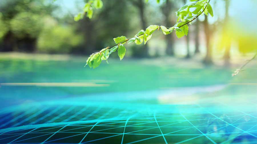Fotografia de planta verde acima de ilustração de linhas digitais em azul.