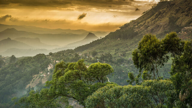 Paisagem com vegetação, montanhas e céu nublado com luminosidade característica de pôr do sol