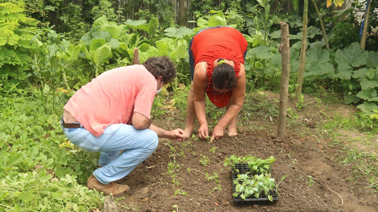 Compartilhamento de conhecimentos sobre agricultura familiar