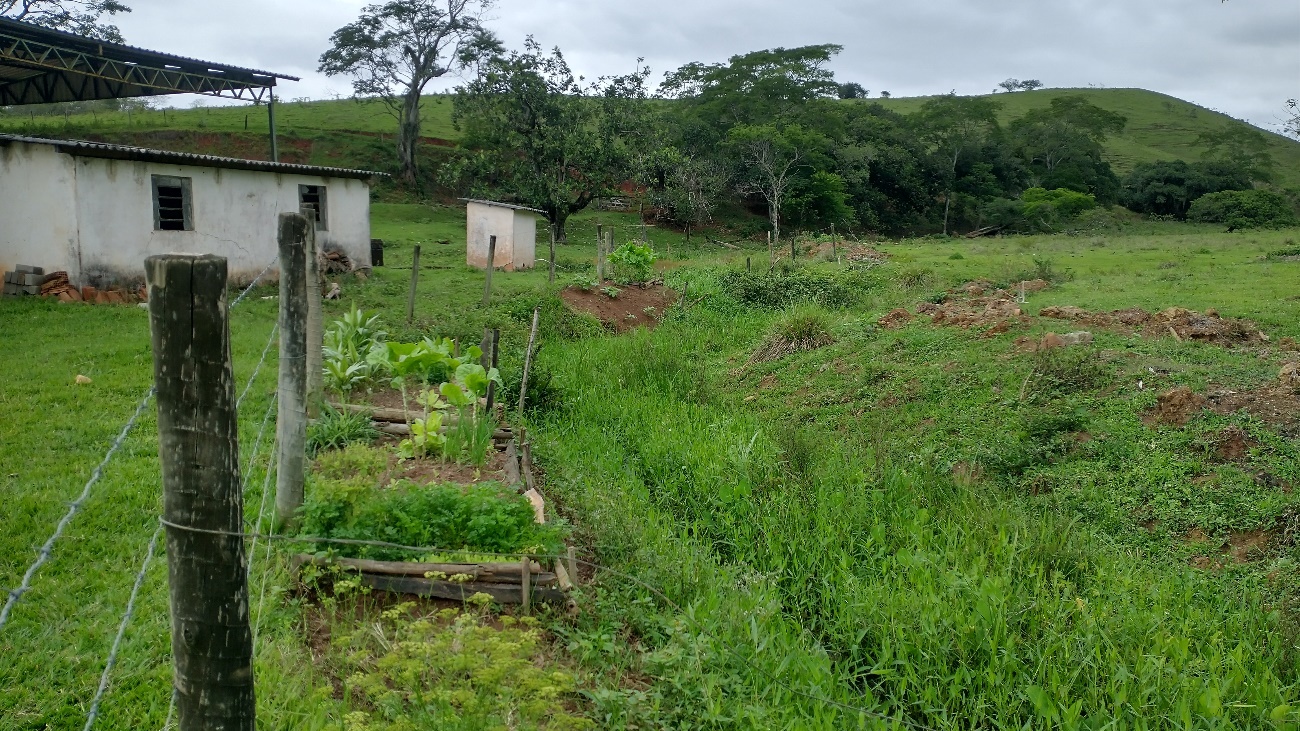 Área de plantação rural/agricultura familiar