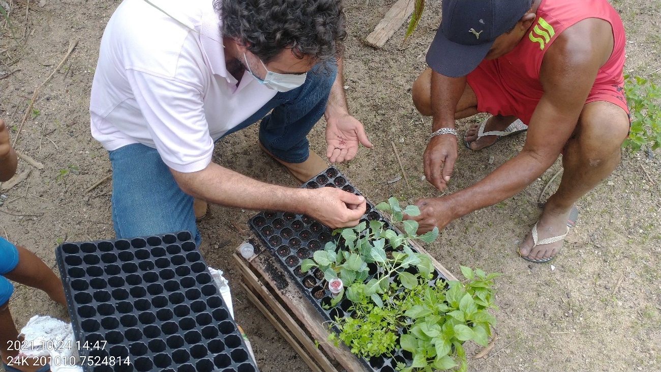 Colaborador da Tetra Tech ensina sobre o manejo de sementes em ambiente rural, durante ação socioambiental